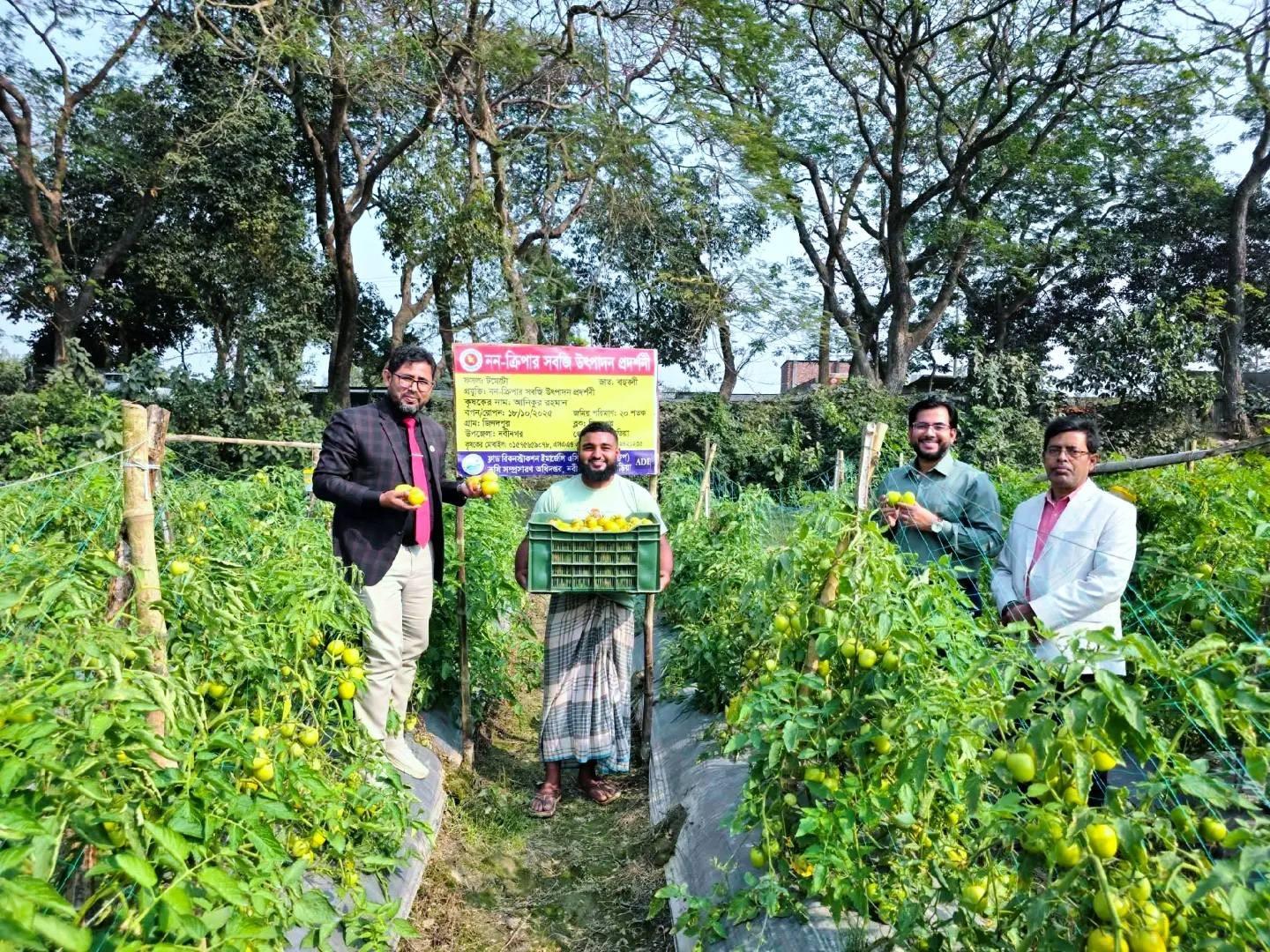 ‎নবীনগরে পরিত্যক্ত জমিতে সবজি চাষে আগ্রহ বাড়ছে কৃষকদের