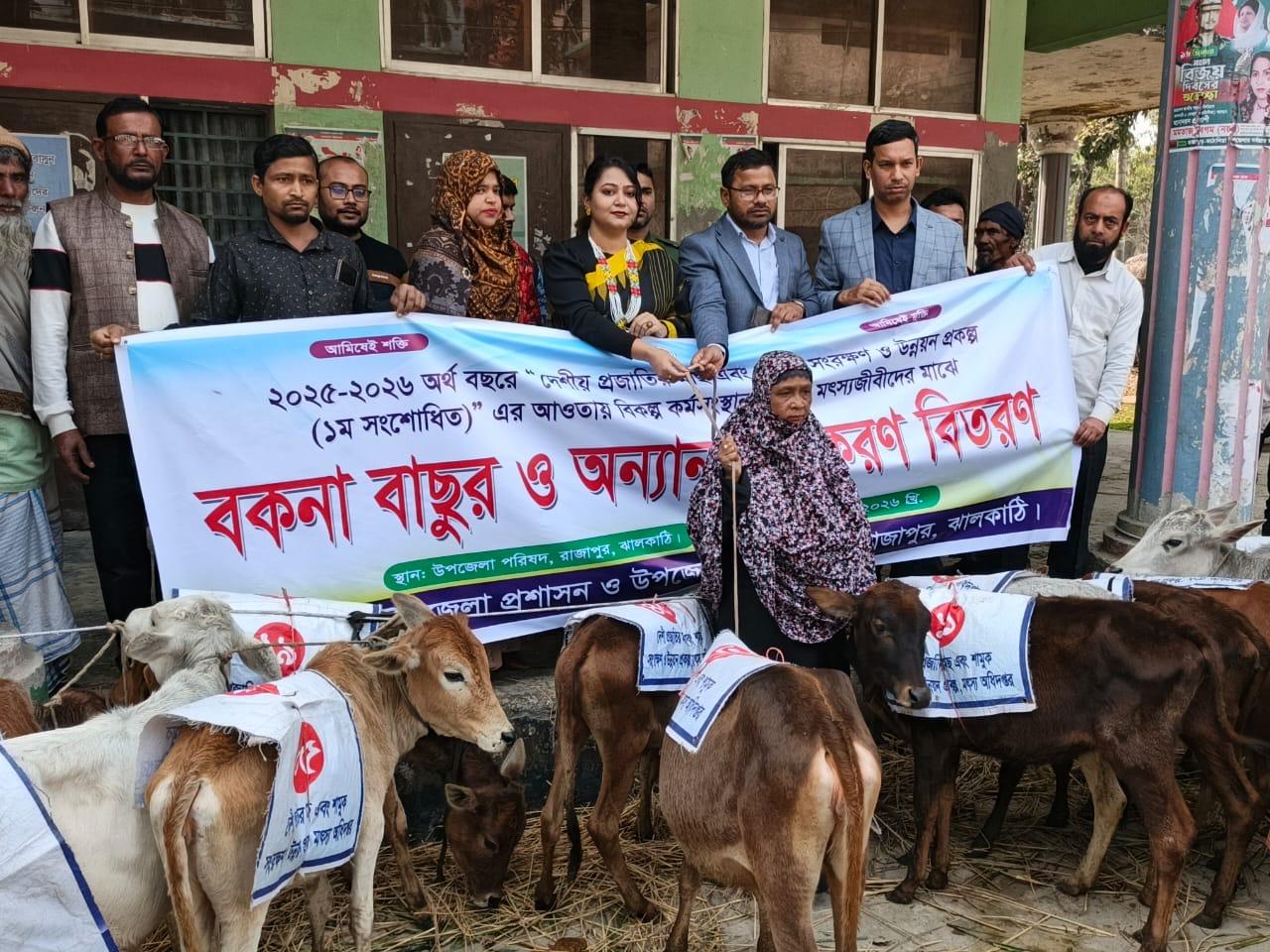রাজাপুরে ৬০ জেলের মাঝে বকনা বাছুর বিতরণ