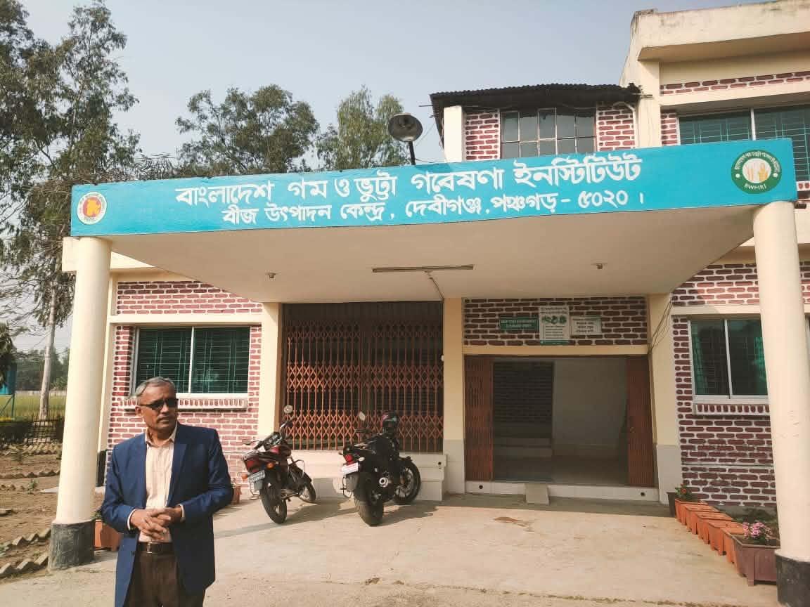 গম ও ভুট্টা চাষে নতুন সম্ভাবনা, গবেষণা ইনস্টিটিউটের কার্যক্রমে সাফল্য